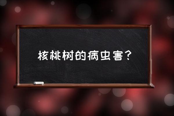 核桃炭疽病腐烂怎么防治 核桃树的病虫害？