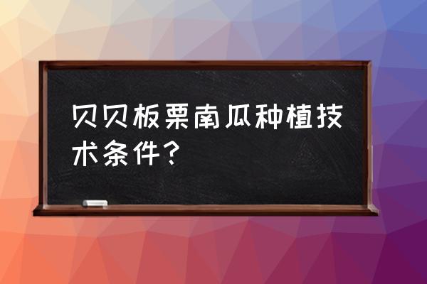 板栗南瓜和贝贝瓜哪个比较好 贝贝板栗南瓜种植技术条件？