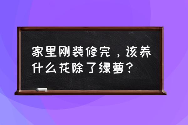 买到了新房怎么装修 家里刚装修完，该养什么花除了绿萝？