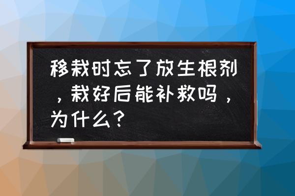 移栽树木时保护根的方法 移栽时忘了放生根剂，栽好后能补救吗，为什么？