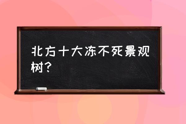 苗木打什么药能防冻 北方十大冻不死景观树？