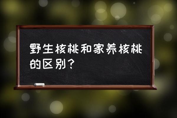 野生核桃吃了对人有什么好处 野生核桃和家养核桃的区别？