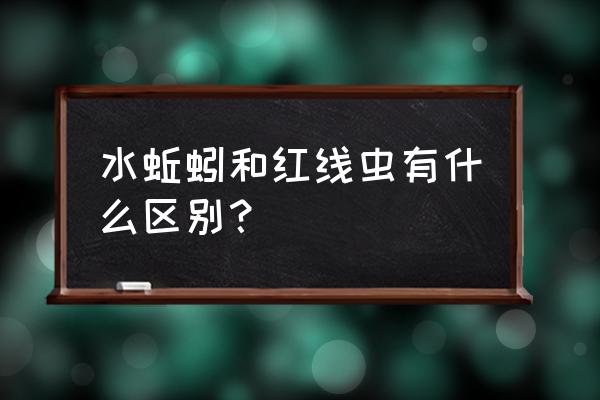 水蚯蚓怎么在家里繁殖 水蚯蚓和红线虫有什么区别？