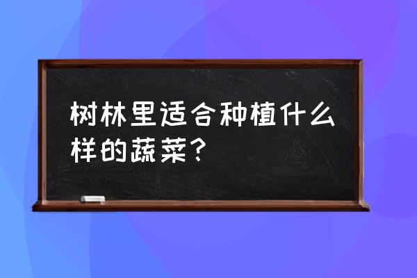 林下挖坑种植最大平菇 树林里适合种植什么样的蔬菜？