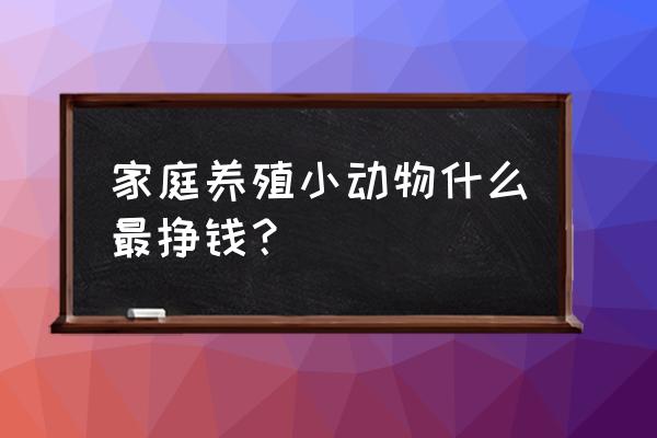 地下室不见光养殖什么赚钱 家庭养殖小动物什么最挣钱？