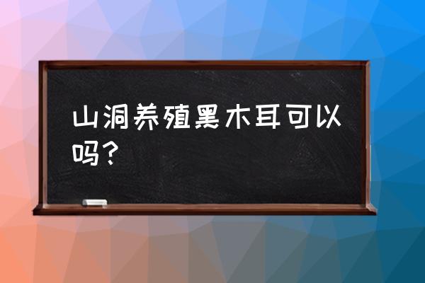 木耳的最佳生长环境是怎样 山洞养殖黑木耳可以吗？