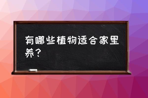 家里必须养的4种花好看好养 有哪些植物适合家里养？