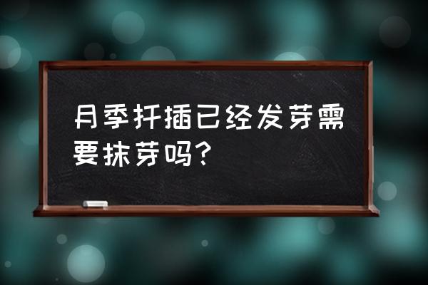 月季扦插发芽了还没生根能成活吗 月季扦插已经发芽需要抹芽吗？