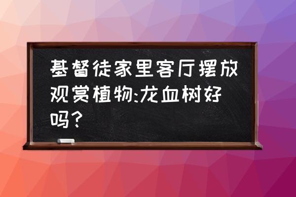 客厅风水植物 基督徒家里客厅摆放观赏植物:龙血树好吗？