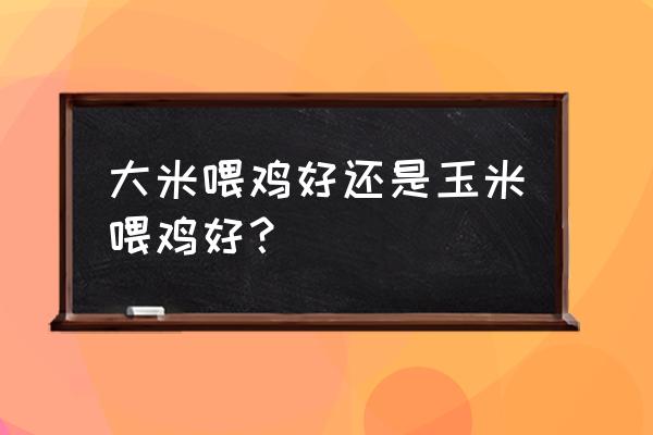 如何用蔬菜做鸡食 大米喂鸡好还是玉米喂鸡好？