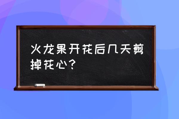 如何识别火龙果花芽 火龙果开花后几天剪掉花心？