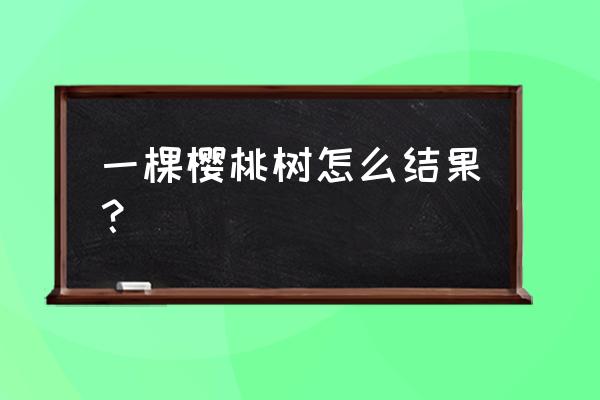 樱桃树几年结果 一棵樱桃树怎么结果？