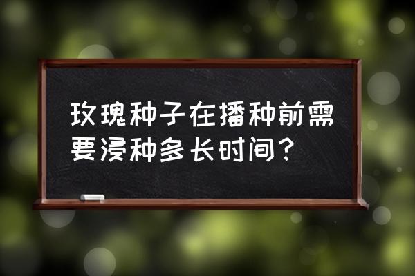 怎么种玫瑰花最简单 玫瑰种子在播种前需要浸种多长时间？