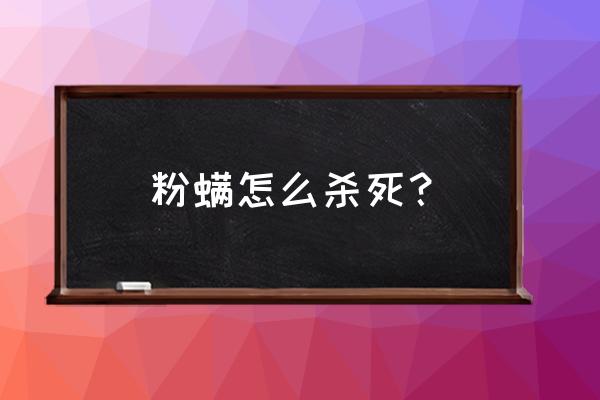 螨虫成灾做好这几步螨虫自然消失 粉螨怎么杀死？