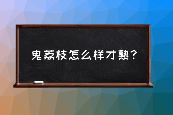 冬天怎么快速催熟释迦 鬼荔枝怎么样才熟？