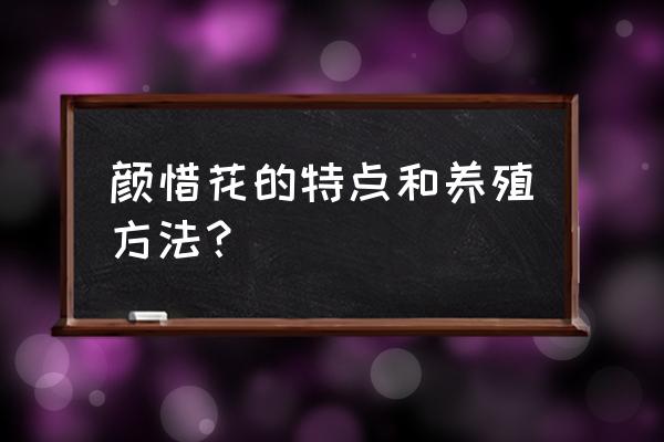 种植与养护的实用技巧和建议 颜惜花的特点和养殖方法？