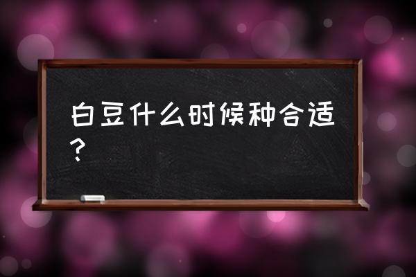 春天菜豆的种植时间 白豆什么时候种合适？