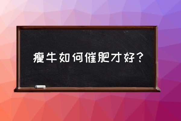 牛吃什么最快增肥 瘦牛如何催肥才好？