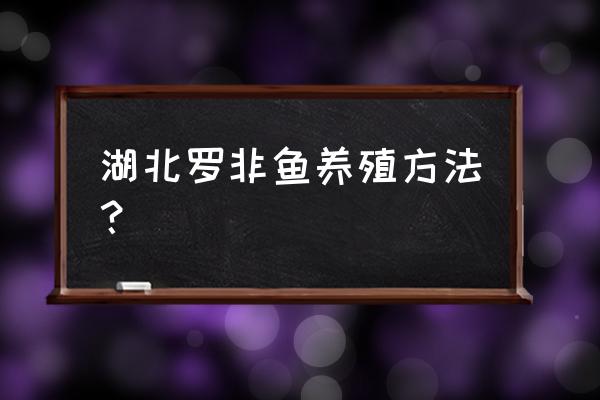 罗非鱼是怎样繁殖的 湖北罗非鱼养殖方法？