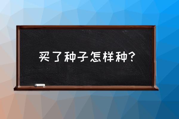 一粒种子怎么变成苗子 买了种子怎样种？