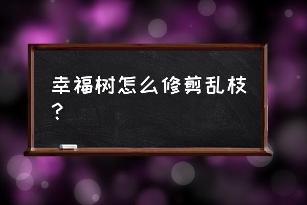 幸福树的叶子枯了要全部剪掉吗 幸福树怎么修剪乱枝？