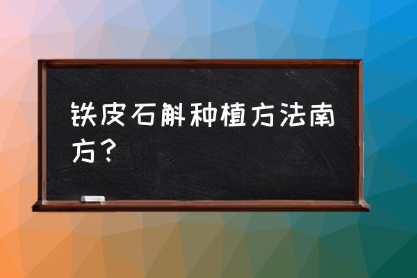 铁皮石斛栽培技术最好 铁皮石斛种植方法南方？