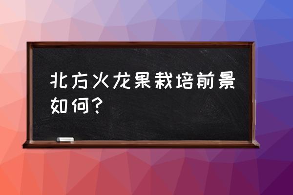 北方适合种植火龙果吗 北方火龙果栽培前景如何？