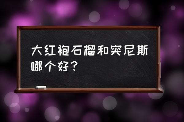 突尼斯石榴软籽石榴好吃吗 大红袍石榴和突尼斯哪个好？