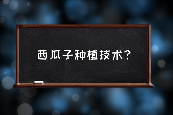 西瓜籽直接种植的正确方法 西瓜子种植技术？