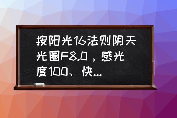 怎样拍摄阳光照片 按阳光16法则阴天光圈F8.0，感光度100、快门速度500。拍摄的照片明显曝光不足为什么？