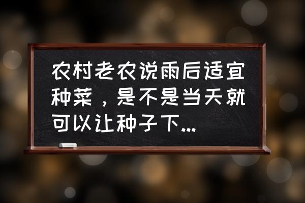 中国种子行业发展现状 农村老农说雨后适宜种菜，是不是当天就可以让种子下地？什么时候最合适？