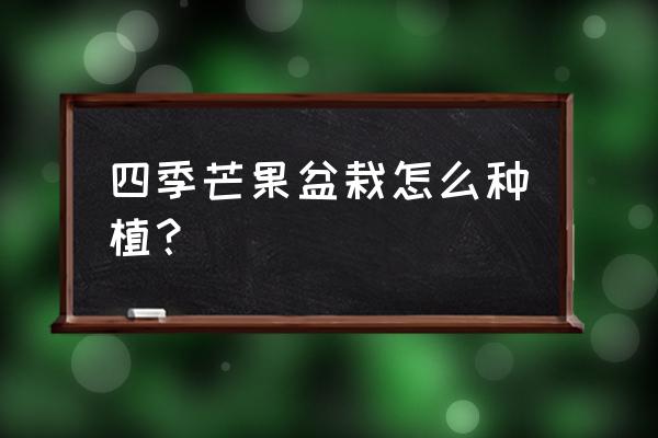 室内盆栽芒果树的正确方法 四季芒果盆栽怎么种植？