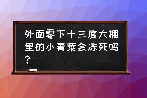 冬天各种蔬菜的正确保存方法 外面零下十三度大棚里的小青菜会冻死吗？