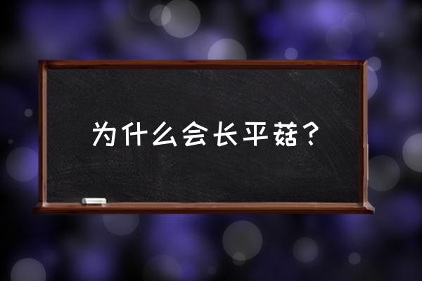 平菇的营养及禁忌人群 为什么会长平菇？