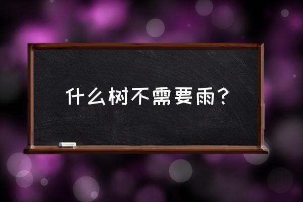 龙爪柳的养殖方法 什么树不需要雨？