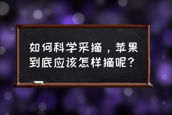 苹果在树上怎么摘 如何科学采摘，苹果到底应该怎样摘呢？