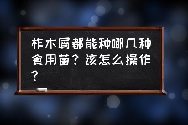 玉米芯种植草菇10000斤利润 柞木屑都能种哪几种食用菌？该怎么操作？