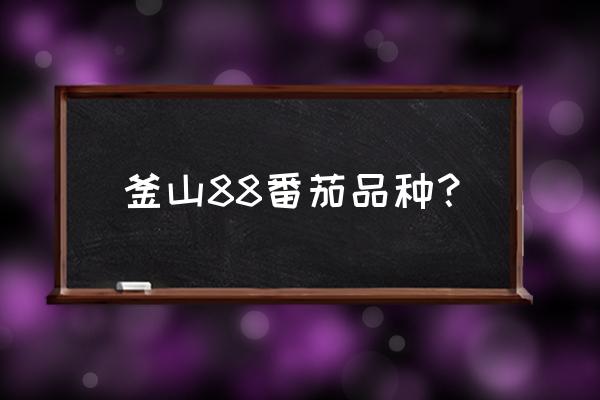 樱桃灯鱼肚子大是要繁殖了么 釜山88番茄品种？