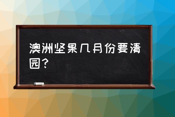 坚果树的移栽方法 澳洲坚果几月份要清园？