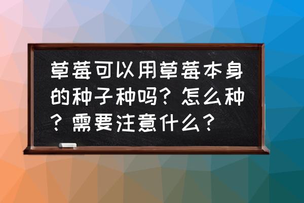 刚买回的草莓怎么种 草莓可以用草莓本身的种子种吗？怎么种？需要注意什么？