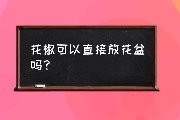 花椒树苗可以盆栽吗 花椒可以直接放花盆吗？