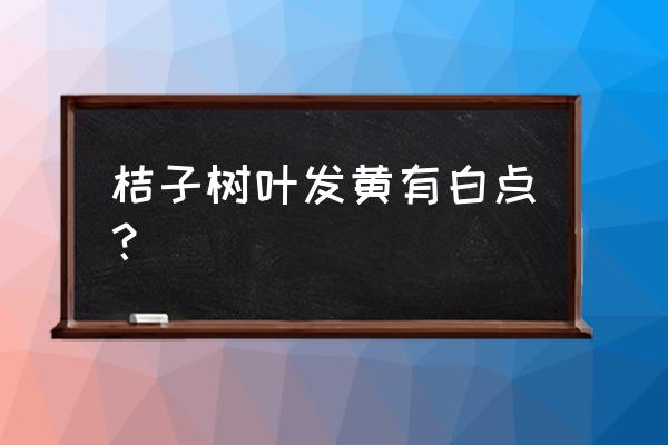 桔子树叶子发黄怎么治 桔子树叶发黄有白点？