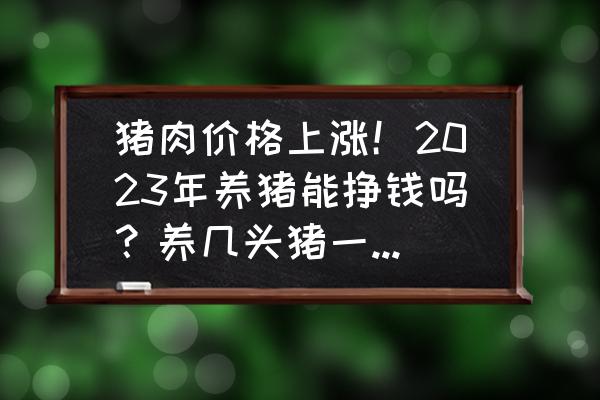 现在农村怎么才能养猪 猪肉价格上涨！2023年养猪能挣钱吗？养几头猪一年能挣10万？