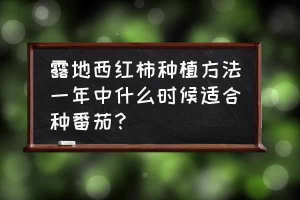 种西红柿的最佳时间 露地西红柿种植方法一年中什么时候适合种番茄？