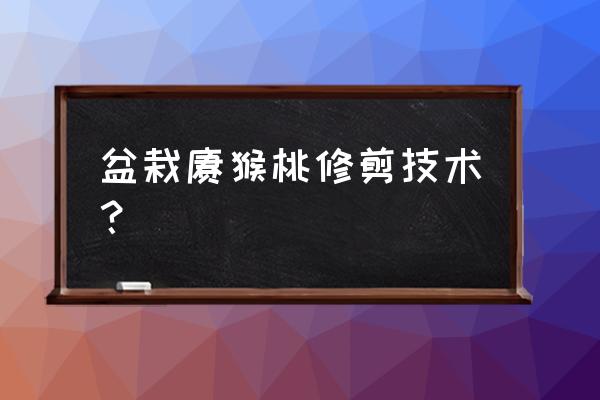 盆栽猕猴桃小苗的修剪方法 盆栽猕猴桃修剪技术？