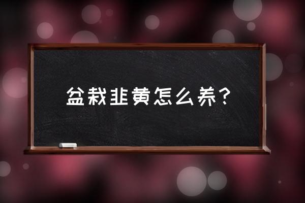 种植韭黄哪种方法最简单 盆栽韭黄怎么养？