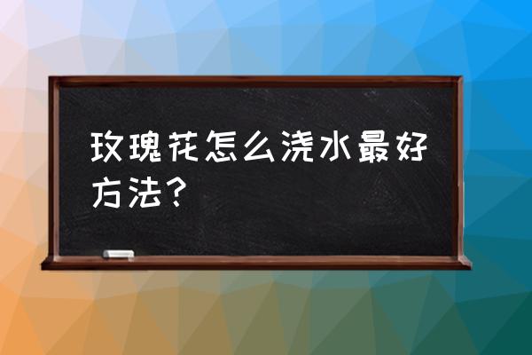 玫瑰花盆栽浇水从下面浇还是上面 玫瑰花怎么浇水最好方法？