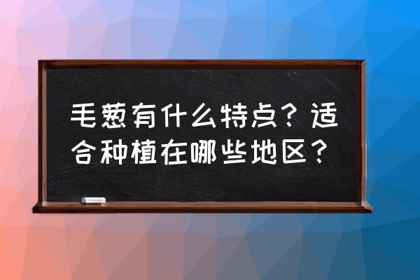 毛葱栽培技术要点 毛葱有什么特点？适合种植在哪些地区？