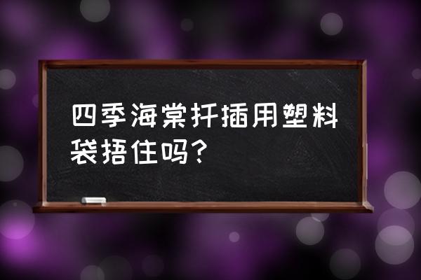 包装袋做花朵教程 四季海棠扦插用塑料袋捂住吗？