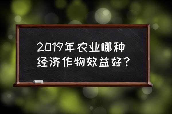 未来5年最畅销的中药材 2019年农业哪种经济作物效益好？